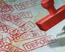 В Покровской оперзоне полиция  выявила 14  нелегальных мигрантов