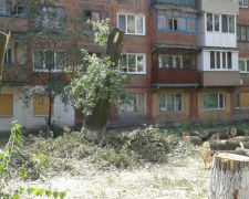 Обрезка деревьев оголила раны прифронтовой Авдеевки (ФОТО)