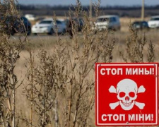 Правительство Швейцарии поможет Украине организовать противоминную деятельность на Донбассе