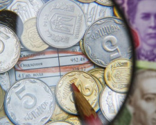 Выплата субсидий в денежной  форме стартует в Украине с марта