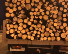 Стало известно, что чаще всего пытаются незаконно перевезти через Донбасс