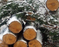 Авдіївські поліцейські затримали &quot;чорних лісорубів&quot;