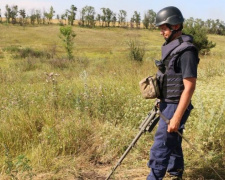 На Донетчине пиротехники за день очистили от взрывоопасных предметов более 30 гектаров