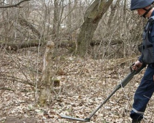 Гуманитарное разминирование позволило предупредить 5 возможных взрывов на Донетчине