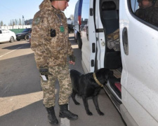 Ситуация в КПВВ: в &quot;Майорском &quot; задержали авто, которое разыскивает Интерпол