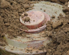 Мониторинговая миссия ОБСЕ призывают разминировать дороги на Донбассе