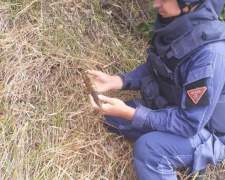 Донецкую область спасли почти от 50 взрывов