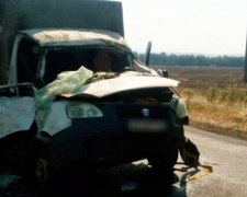 В Донецкой области на дороге на &quot;Газель&quot; упало дерево: два человека госпитализированы (ФОТО)