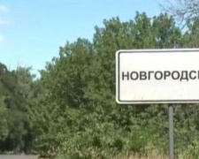 Новгородское может снова стать Нью-Йорком