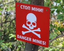 Начат проект по оказанию помощи лицам, пострадавшим от мин и взрывоопасных остатков войны на Донбассе