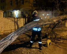 Шквальный ветер валил деревья в Донецкой области (ФОТО)