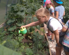 В авдеевском садике &quot;Малыш&quot; детвора выращивает тепличные овощи (ФОТО)
