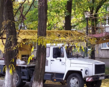 В Авдеевке обрезают аварийные ветви (ФОТОФАКТ)