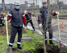 Авдеевские коксохимики присоединились к глобальному экологическому проекту «Озеленение планеты»