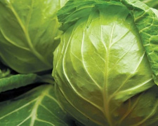 Опубликован рейтинг продуктов, которые подрожали и подешевели в Украине в апреле