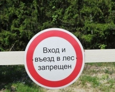 В Донецкой области запретили посещение лесов