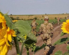 Донбасс и новое перемирие: с полуночи стрельба прекратилась