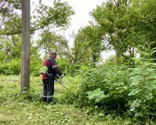 Стоп аллергия! Сотрудники АКХЗ вышли на борьбу с вредоносными растениями  (ФОТОФАКТ)