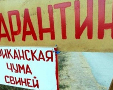 Африканская чума свиней опять ударила по Донетчине