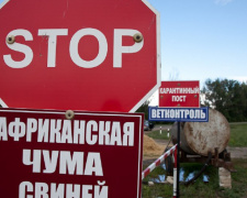 В Донецкой области зафиксирован случай африканской чумы, - ВГА Авдеевки