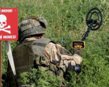 Спасатели на Донетчине предупредили почти 200 взрывов