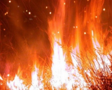 В Донецкой области на выходных будет чрезвычайно пожароопасно
