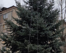 В Авдеевке готовятся к новогодним праздникам. ФОТОФАКТ