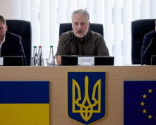 В Донецкой области формируется  бригада самообороны