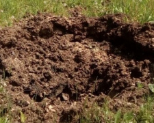 На территории важной насосной станции в  Донецкой области  ночью рвались снаряды