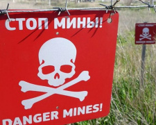 Глава СММ ОБСЕ призвал к полному разминированию территории Донбасса