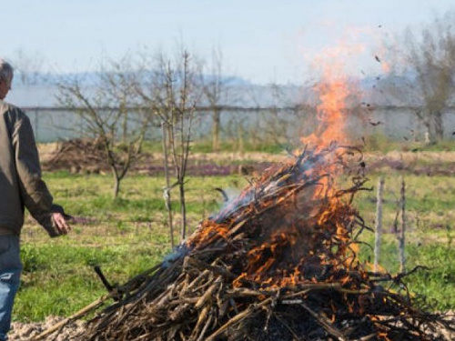 Авдеевцев за сжигание сухой травы и мусора ждет штраф