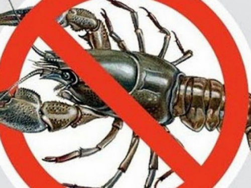 На Донетчине запретят ловить раков