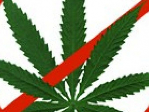 В Авдеевку не пропустили наркотики из Запорожской области