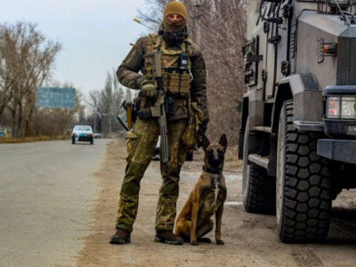 В Авдіївці службовий пес гвардійців виявив схованку з боєприпасами