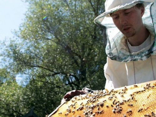 МК Червоного Хреста продовжить програму грантової підтримки авдіївських домогосподарств