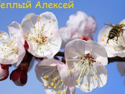 Православные авдеевцы отмечают сегодня День Теплого Алексея