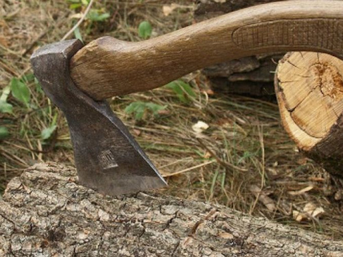 За выходные в Авдеевке полицейские раскрыли два правонарушения