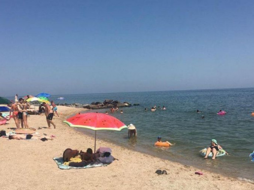 Авдеевцам на заметку: в Бердянске «каша» из медуз, в воду не зайти ( ВИДЕО)