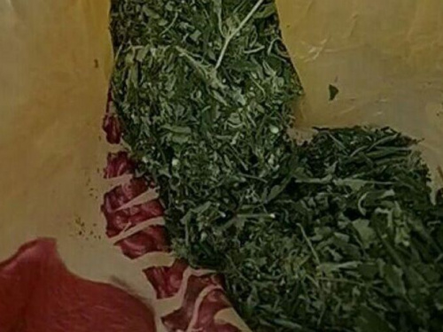 Конопля и патроны: авдеевские полицейские "удачно остановили" жителя поселка Очеретино