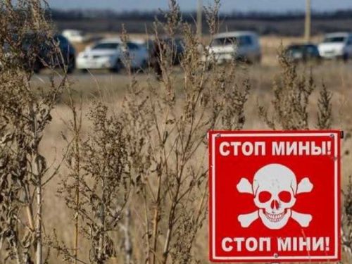 Правительство Швейцарии поможет Украине организовать противоминную деятельность на Донбассе
