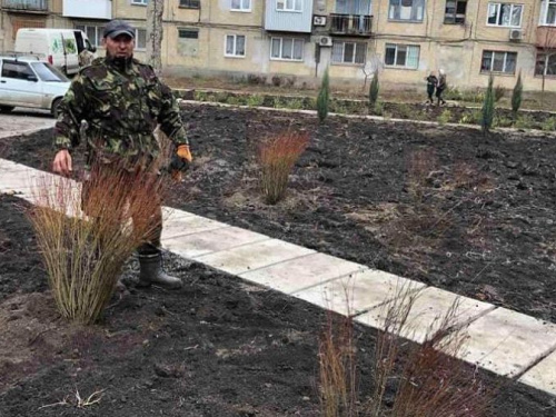 В Авдіївці стартував проект по озелененню міста