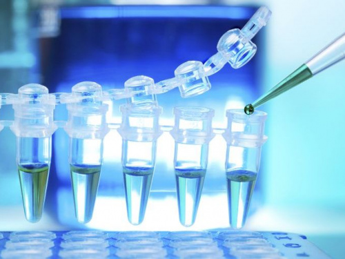 На Донетчине ПЦР-тесты на COVID-19 делают десять лабораторий