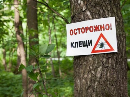Начался сезон клещей: важные советы, которые помогут сохранить жизнь