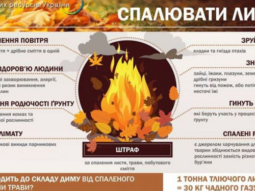Чому не можна спалювати листя та суху рослинність