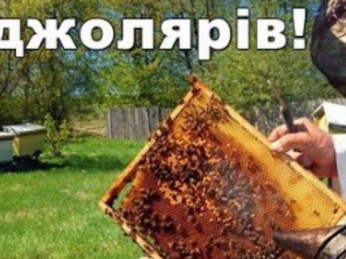 Авдіївськи пасічники можуть отримати дотацію за бджолосім'ї