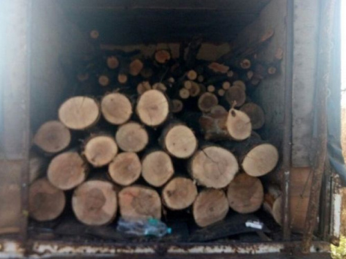 Авдеевские копы поймали «черных лесорубов» (ФОТО)