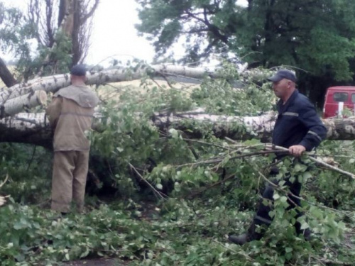 Как Донетчина пережила ураганный удар (ФОТО)