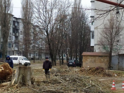 Осторожно! В Авдеевке пилят деревья (ФОТОФАКТ)