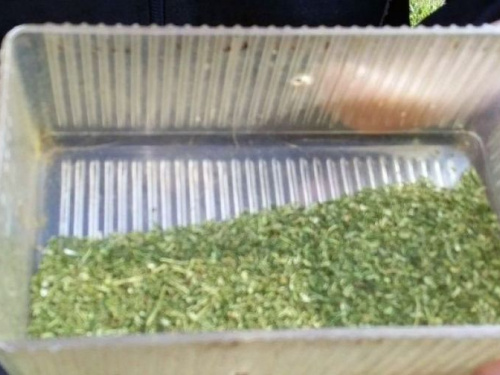 Авдеевские полицейские изъяли марихуану у жителя Новоселовки