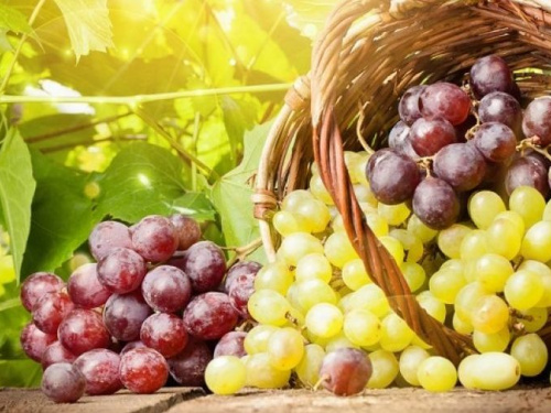 В Украине появится новый праздник